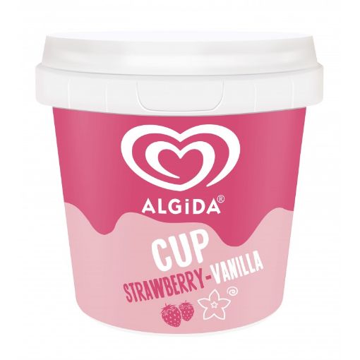 ALGİDA DONDURMA 100 ML CUP ÇİYƏLƏK VANİL resmi