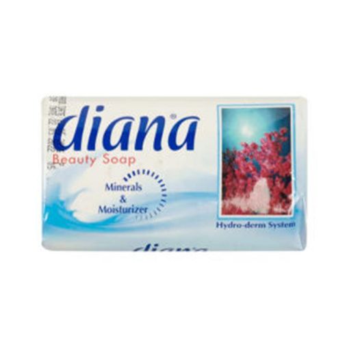 DİANA SABUN 150 Q MİNERAL resmi