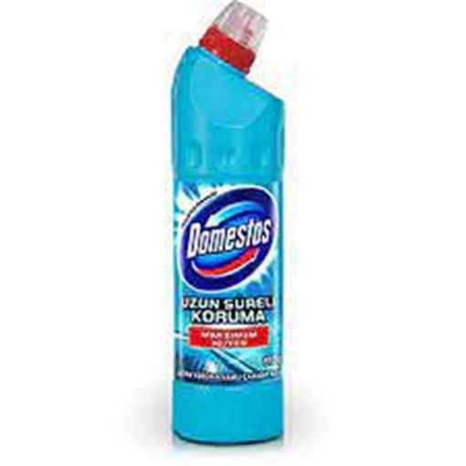 DOMESTOS TƏMİZLİK GELI 750 ML EVKALİPT resmi