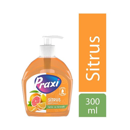 PRAXİ MAYE SABUN 300 ML TROPİC resmi
