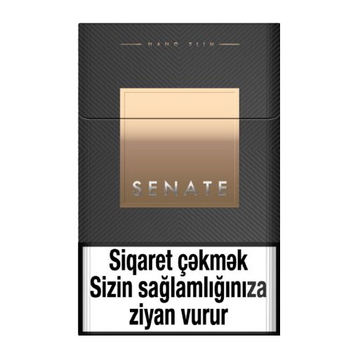 SENATE NANO RICH SILVER resmi